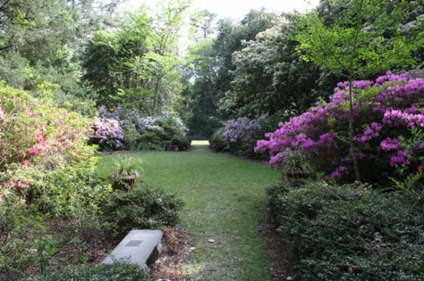 kalmia_gardens