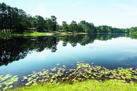 lake_darpo