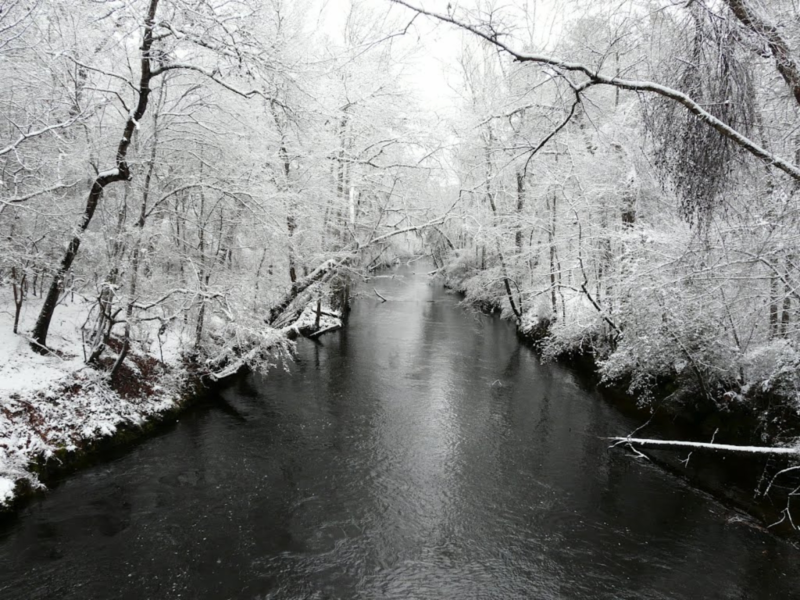 Snow on Black Creek
